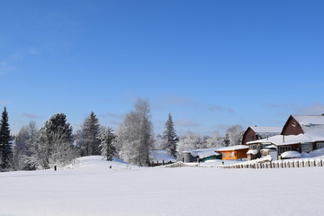 Fototapeta na wymiar the snow-covered countryside, winter landscape