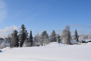 Fototapeta na wymiar the snow-covered countryside, winter landscape