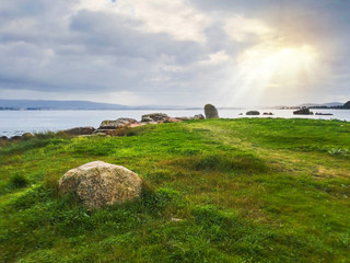 Grass and rocks on the coast