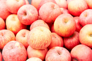Fresh red apple
