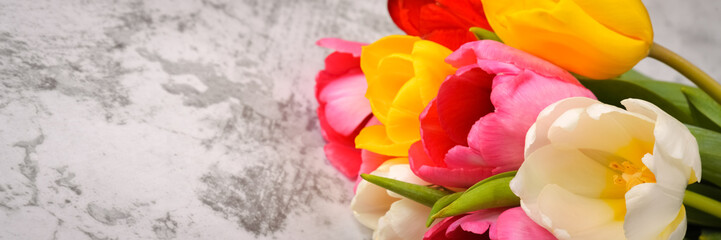 A bouquet of fresh, bright, multi-colored tulips on a light gray background.