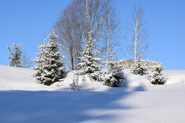 the snow-covered countryside, winter landscape