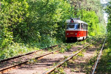 Naklejka na ściany i meble The tramcar of a red-white streetcar numbered twelve rides through the forest
