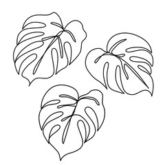 Continuous line monstera leaf. Tropical leaves contour drawing © yana2607