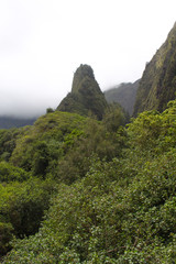 Cliffs in forest hawaii tropical monument