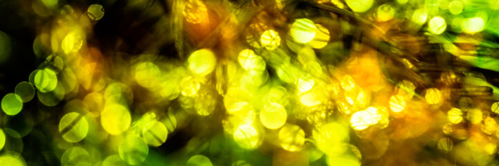 banner abstract background with bokeh in golden and green