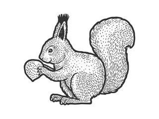 squirrel with nut sketch engraving vector illustration. T-shirt apparel print design. Scratch board imitation. Black and white hand drawn image. © Oleksandr Pokusai