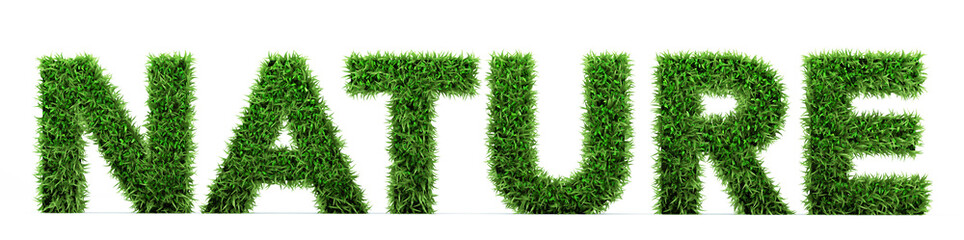 Nature off Grass. Letter of grass. 3d render. Isolated on white back ground.