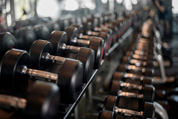 row of dumbbell in fitness gym
