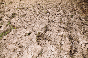 Rural agricultural landscape of the ploughed field