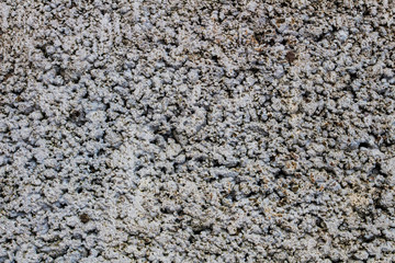Texture and background, brick or concrete block