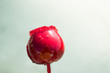 Detail photo of a delicious red caramel apple on a sunny day