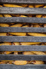 Rustic wooden corn barn