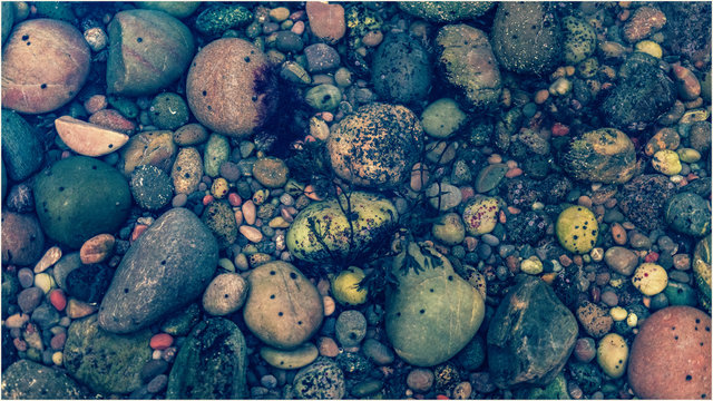 stones in water