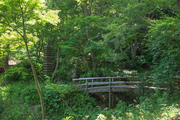 Japanese garden with full of green (Yokohama, Japan)