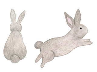 Cute cartoon bunny jumping and bunny from behind, watercolor Easter bunny design, bunny animal drawing