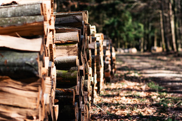 old wooden fence