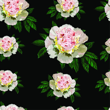 Wallpaper peonies on a black background