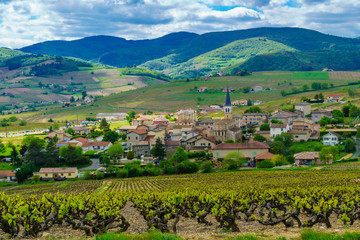 Fototapeta na wymiar Vineyards and countryside in Beaujolais, with the village Lantignie