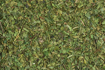 White mulberry leaf tea as background