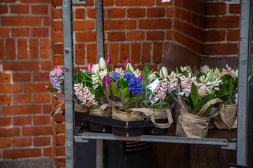 Bouquet of lilac hyacinths and raspberry tulips