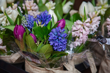 Bouquet of lilac hyacinths and raspberry tulips