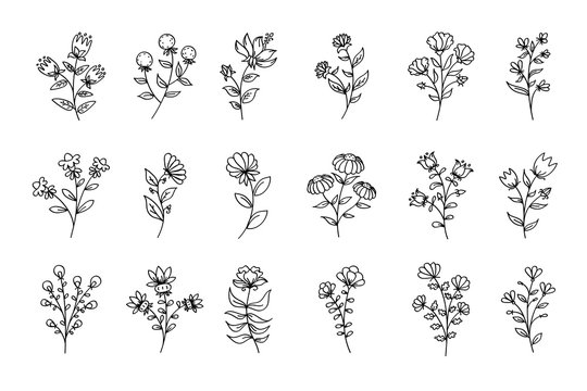 22+ Flower Drawings - Free PSD, AI, EPS Format Download