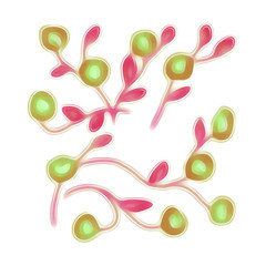 Berries branch. Watercolor illustration.