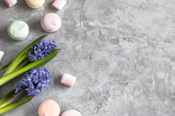 Grey cement backdrop with laying spring purple hyacinth and multicolored marshmallows