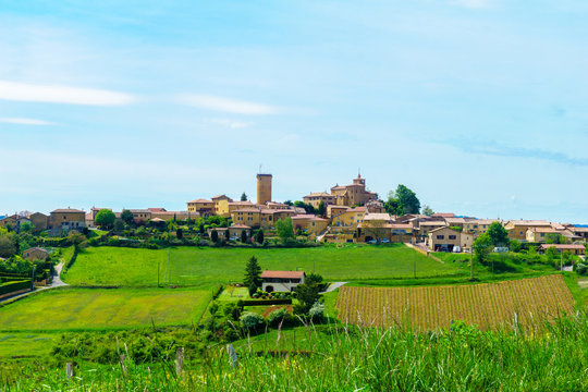 Vineyards and countryside in Beaujolais, with the village Oingt
