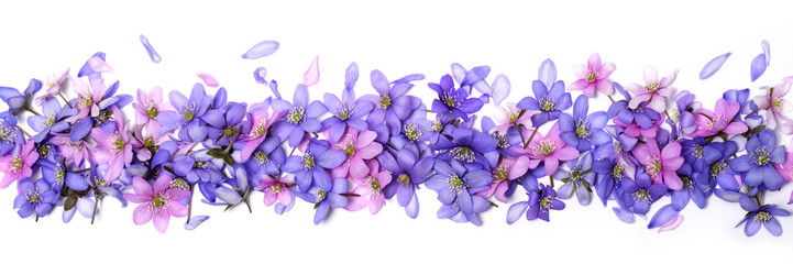 Beautiful floral border - 327612057