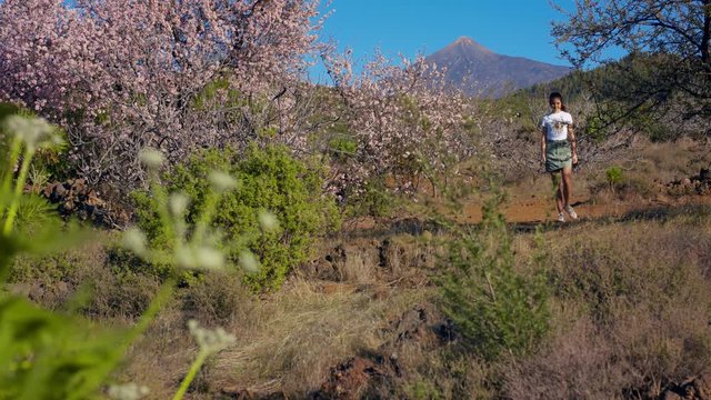 Teenager photographs flowers, Pink Sakura flower, Cherry blossom Young girl sniffs and Enjoys Almond blossomin Teide National Park Spring blossom Sakura Flowers, Breathe Aroma. Tenerife, Shot URSA 4.6