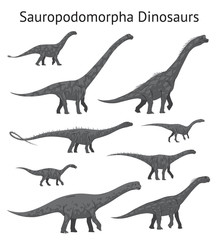 Set of sauropodomorpha dinosaurs. Monochrome vector illustration of dinosaurs isolated on white background. Side view. Sauropods. Proportional dimensions. Element for your desing, blog, journal. © tinkivinki