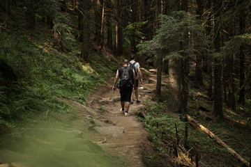 hiking in the forest