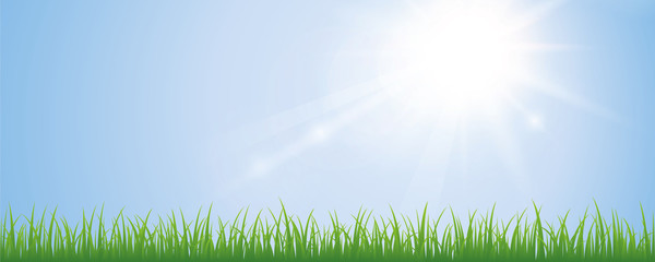 Obraz na płótnie Canvas sunny sky and green meadow background with copy space vector illustration EPS10