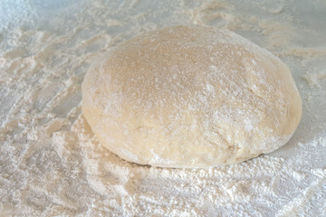 Fototapeta na wymiar raw dough for ravioli on sprinkled flour