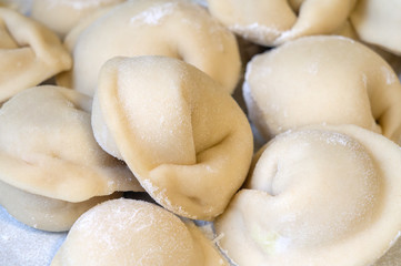 Fototapeta na wymiar Raw handmade dumplings