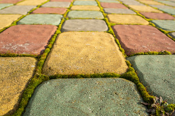 Multi-colored stone smooth road closeup. Old pavers with moss