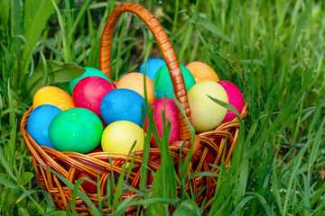 Multi-colored Easter eggs lie in a wicker rattan basket, which stands in tall green grass. Colored eggs close-up, front view, Copy space, place for text.