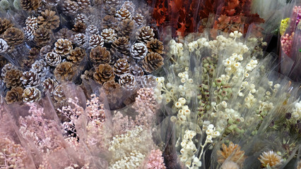 A variety of dried flowers and pine cones, wrapped in individual transparent wrapper, displayed at a flower store.
