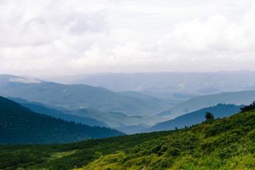 Fototapeta na wymiar View of vertex.Carpathian mountains in the midle of summmer.