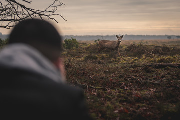 silhouette of a person standing in a field
