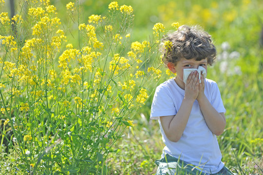 Milano - Allergia e asma in aumento tra i bambini