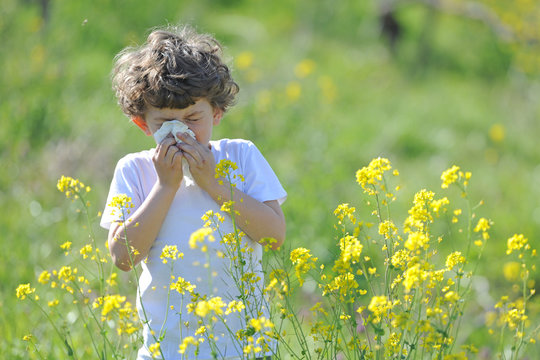 Milano - Allergia e asma in aumento tra i bambini