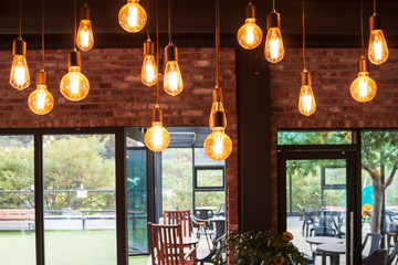 hanging Edison bulbs (vintage lighting bulb)