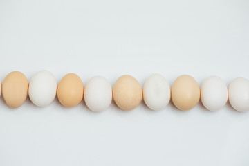 Set of Realistic Dark and Light Brown Whole Chicken.  Copy space for text. Organic eggs isolated. Group of Egg line up in close up