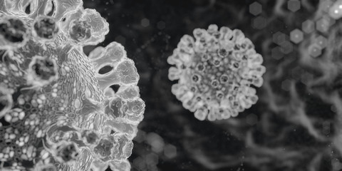 Coronavirus virus Novel SARS-CoV-2 ncov-2019 macro image electronic microscope representation, 3d render