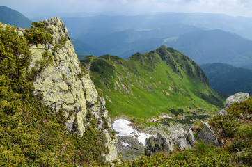 Valley among majestic rugged mountain hills and peaks covered in green lush grass, forest, snow leftovers rhododendron flowers. Sunny cloudy day in summer. Marmarosy Carpathian mountains Ukraine 