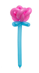 Balloon flower pink isolated on white background.