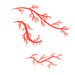 humans arteries and veins